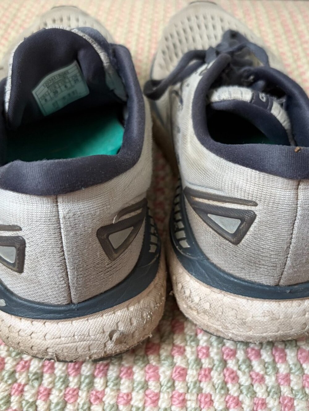 Well Worn Brooks Running Shoes